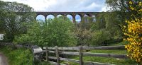 PICTURES/Drive to Inverness/t_Nairn Viaduct1.jpg